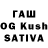 Кодеин Purple Drank Bagira R