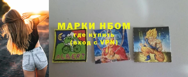 дмт Пестово