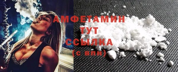 стаф Осинники