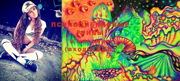 дмт Пестово