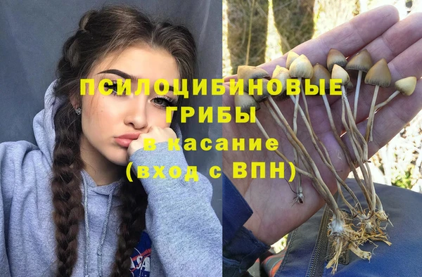 гидропоника Переславль-Залесский