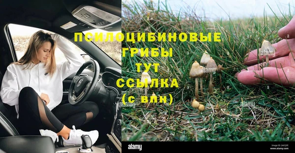 круглые Нягань