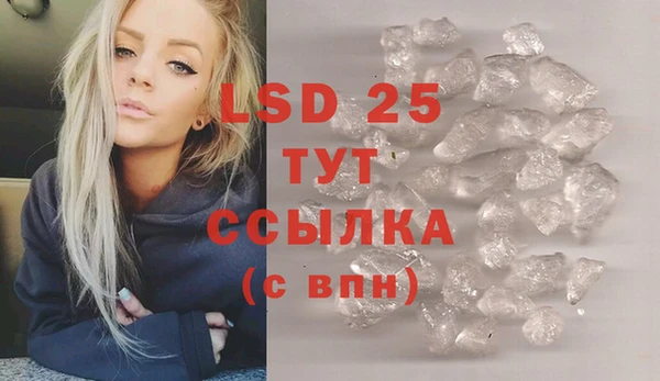 шишки Билибино