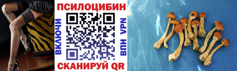 Псилоцибиновые грибы Cubensis  kraken ссылки  Кизилюрт  что такое наркотик 