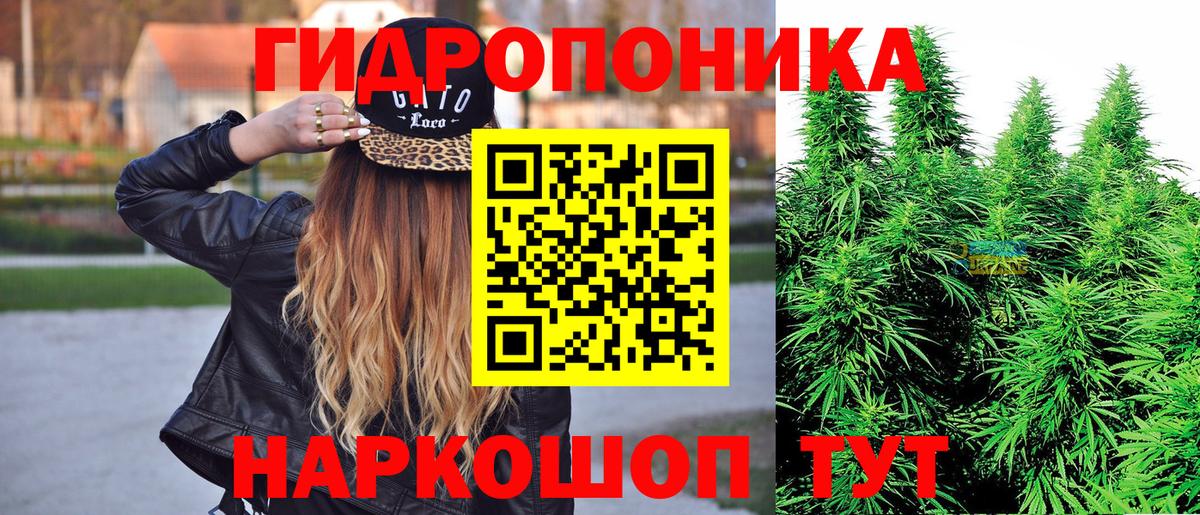 Марихуана марихуана Кизилюрт